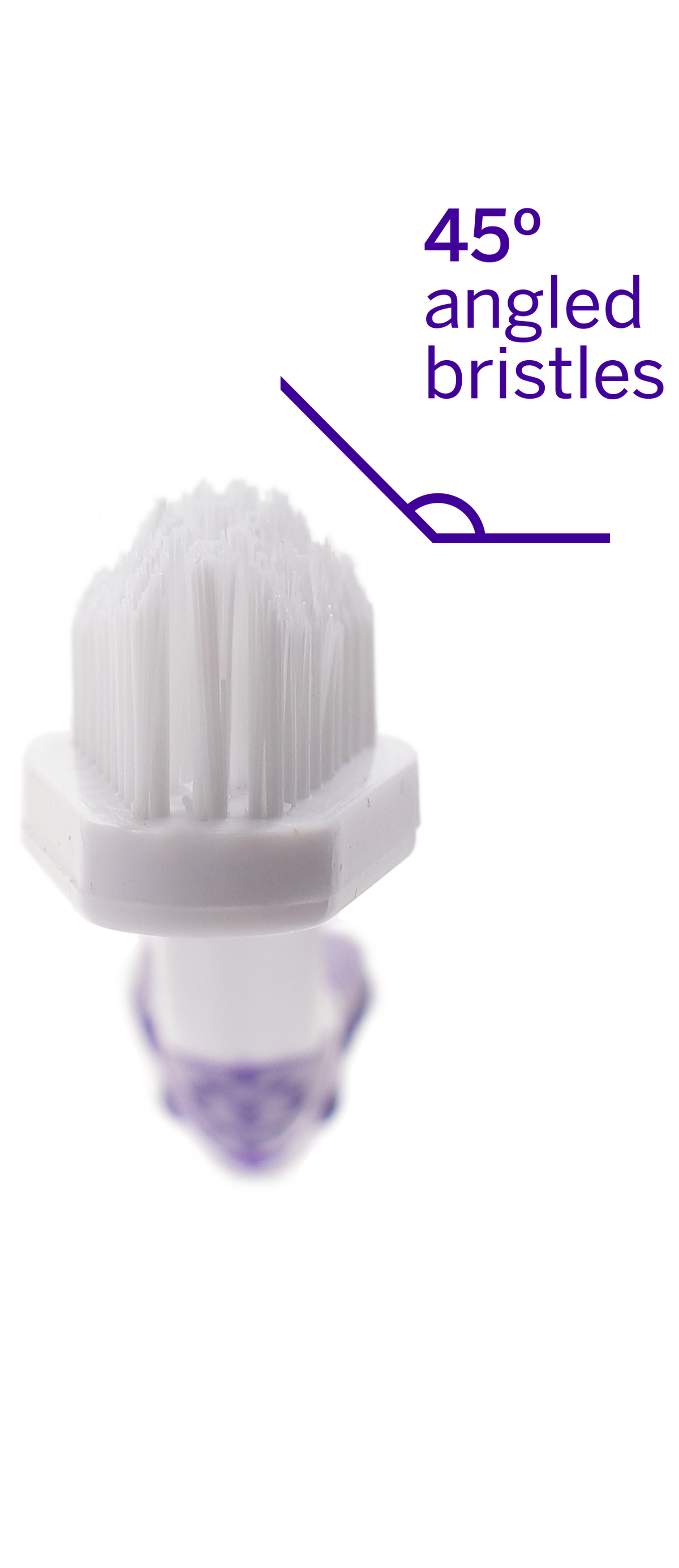 Cepillo de dientes para mascotas profesional Petsmile