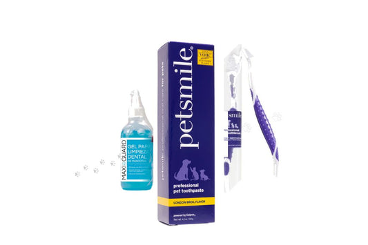 Pack FULL Incredible Clean Carne GRANDE! (Gel limpieza dental con Vitamina C Maxiguard + Pasta Petsmile sabor carne asada 119 g + Cepillo Petsmile)
